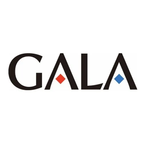 ガーラ、子会社Gala Labが減損損失2.3億円を計上したソフトウェアの資産計上の妥当性を調査する第三者委員会を設置