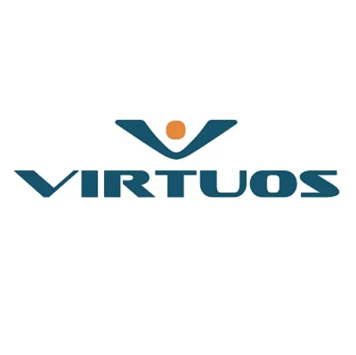 Virtuos Japan、2023年12月期(第1期)決算は最終利益50万円…独立系ゲーム開発会社の日本法人