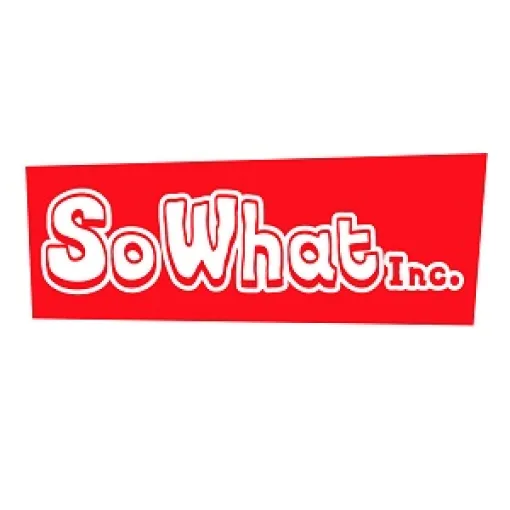 SoWhat、24年3月期決算は最終利益28.5%減の1000万円…イマジニアのゲーム開発子会社