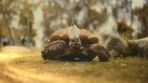 『ELDEN RING』のDLCの宣伝映像にミリエル風のかわいらしいリアル亀が登場 サムズアップするかぼちゃ兜男の姿も