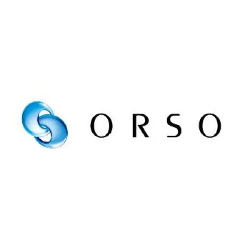 ORSO、24年4月期決算は最終利益14.6%減の2億8400万円　ゲームグラフィックの企画制作やIoT・ドローン事業など展開