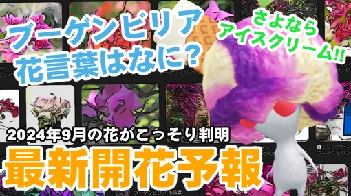 『ピクミン ブルーム』9月の花はブーゲンビリア!! 公式アナウンスに潜む新情報＆イベント近況リポート【プレイログ#709】