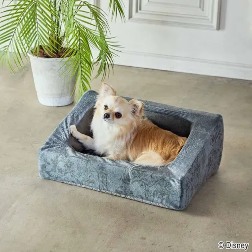スクエニ“ドラクエ”“FF”“キングダムハーツ”のペットグッズ多数発売【SQEX PETs】