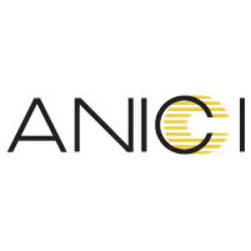 NICI、24年12月期決算は最終損失5億2200万円と赤字幅縮小…アニメブランド「ANICI」を展開