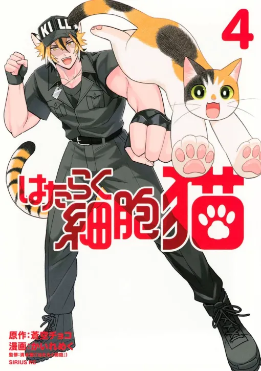 異物誤飲、猫風邪（クラミジア症）、ペットフードの保存方法など、猫との日常生活で知っておきたい知識がどっさり【はたらく細胞 猫 4巻】