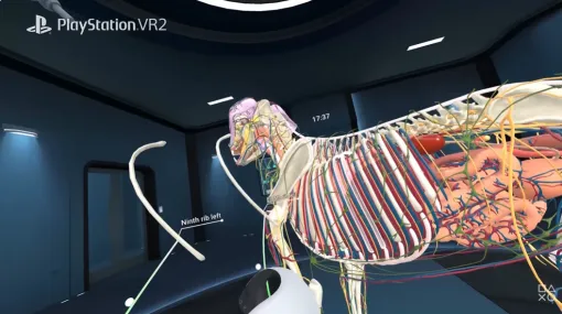 VR解剖学アプリ「Animal Anatomy」,PS VR2とMeta Quest向けにリリース。精細に再現されたモデルで,動物の体をより深く知る VR解剖学アプリ「Animal Anatomy」,PS VR2とMeta Quest向けにリリース。精細に再現されたモデルで,動物の体をより深く知る