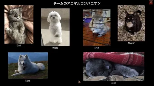 ゲームメニューに「ペット」！？ウクライナ産3Dダンジョン探索RPGの変わったタイトル項目が話題に